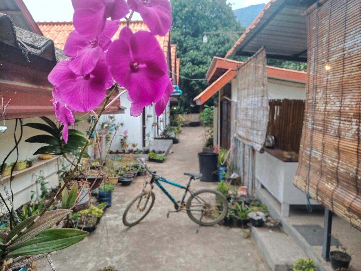 Pdv Guesthouse Muang Ngoi Exterior foto